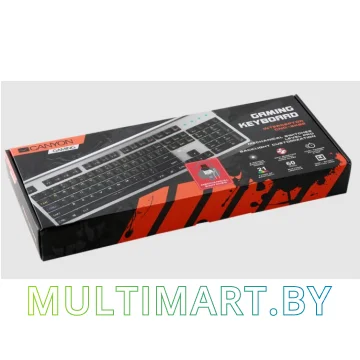 Клавиатура Canyon CND-SKB8-RU (Old) картинка 4